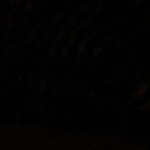 Meet your Posher, Cameron